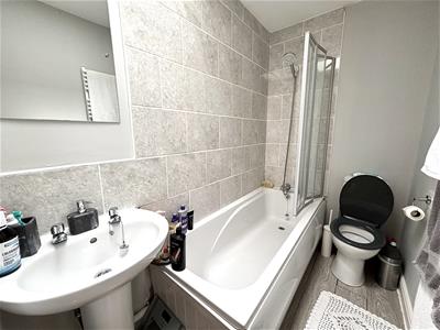 Picture 7